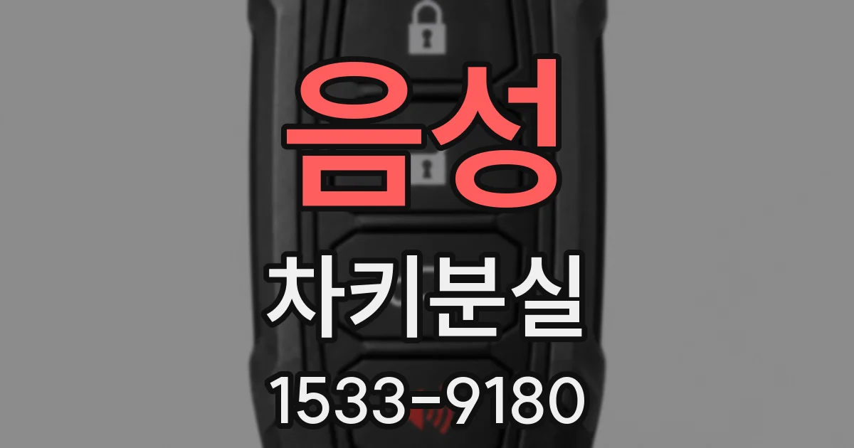 음성 차키분실
