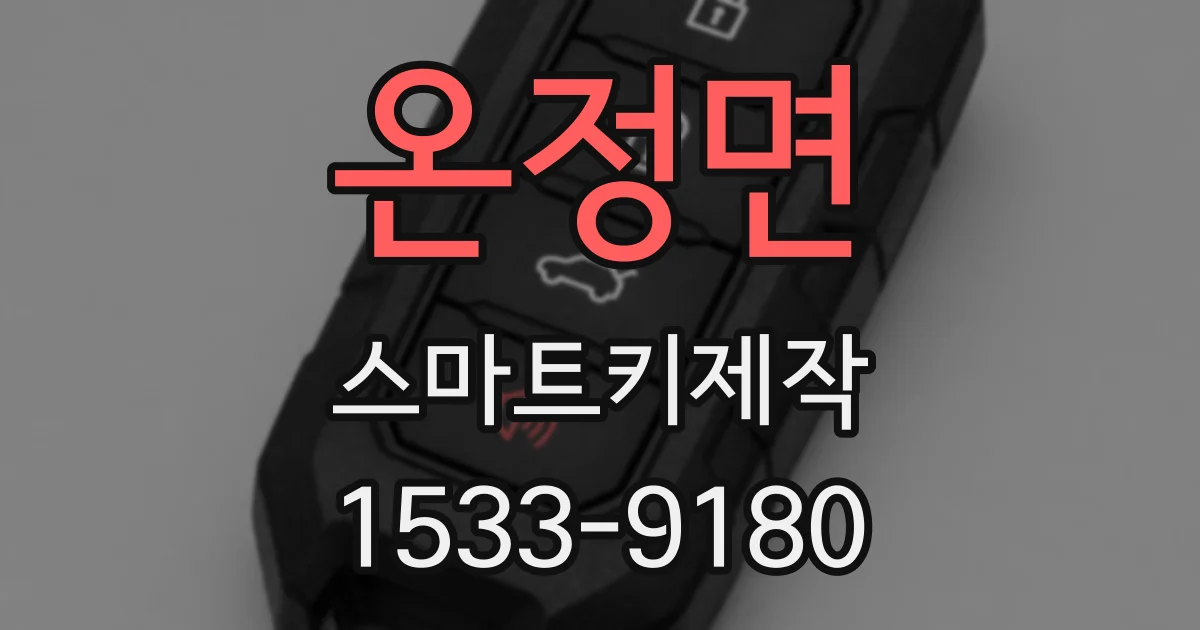 온정면 스마트키제작