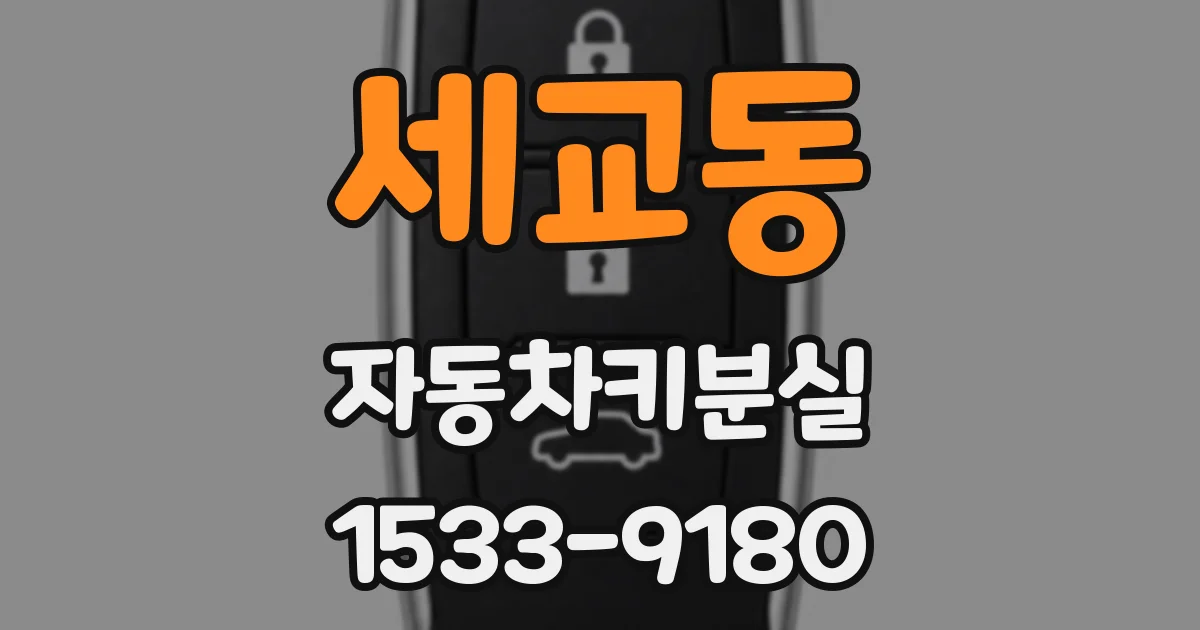 세교동 자동차키분실