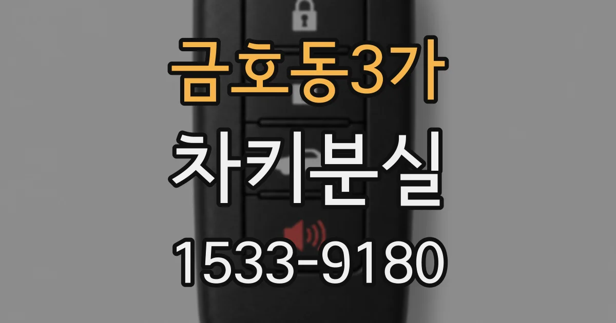금호동3가 차키분실