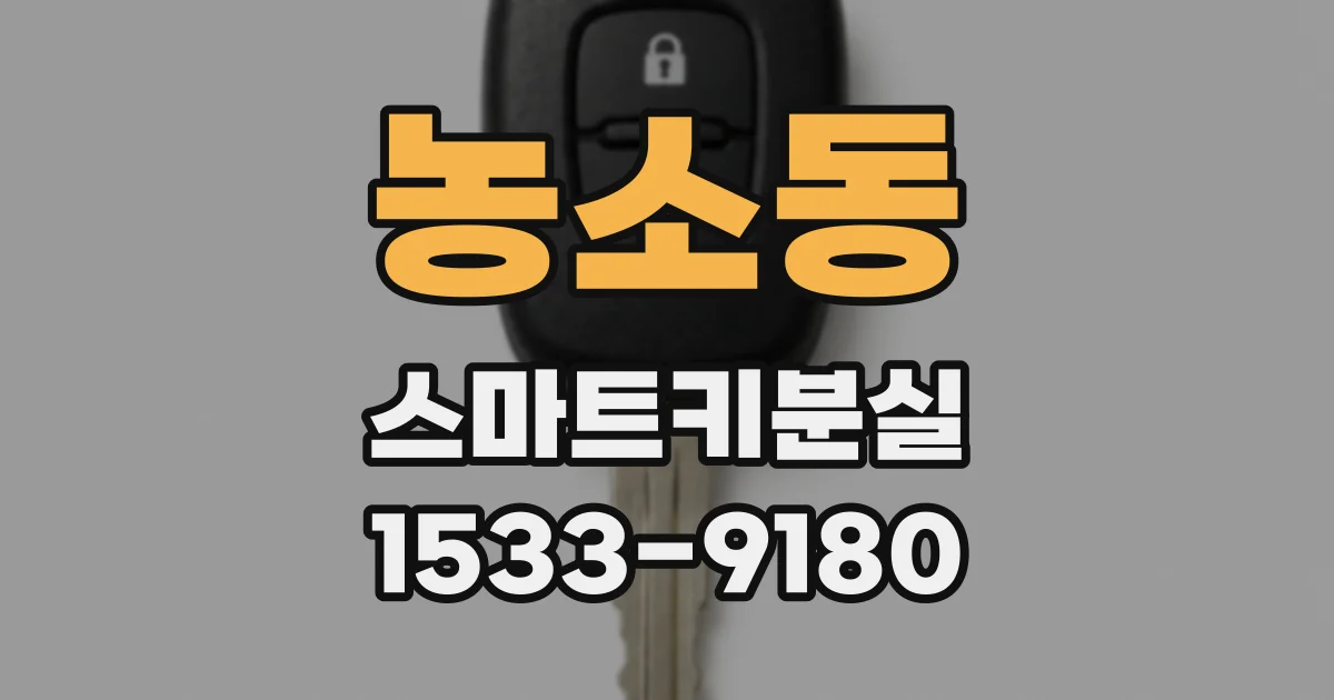 농소동 스마트키분실