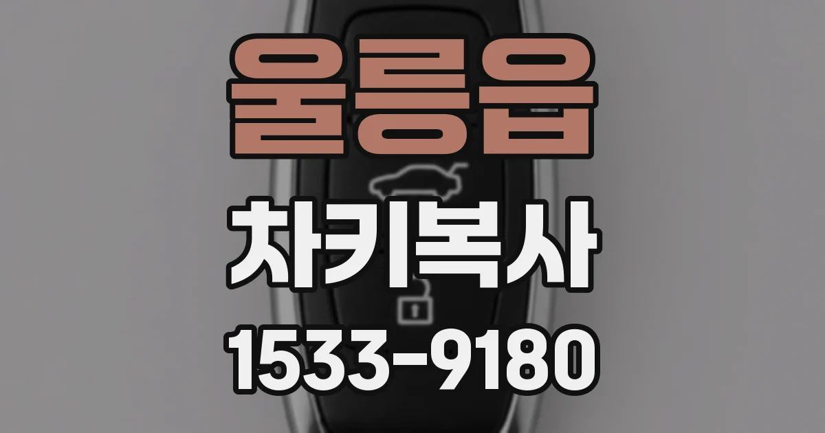 울릉읍 차키복사