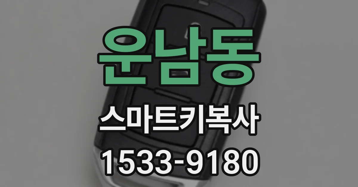 운남동 스마트키복사