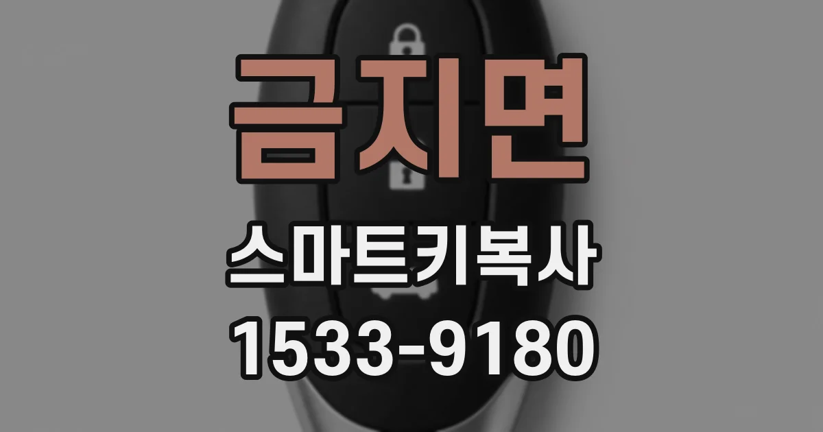 금지면 스마트키복사