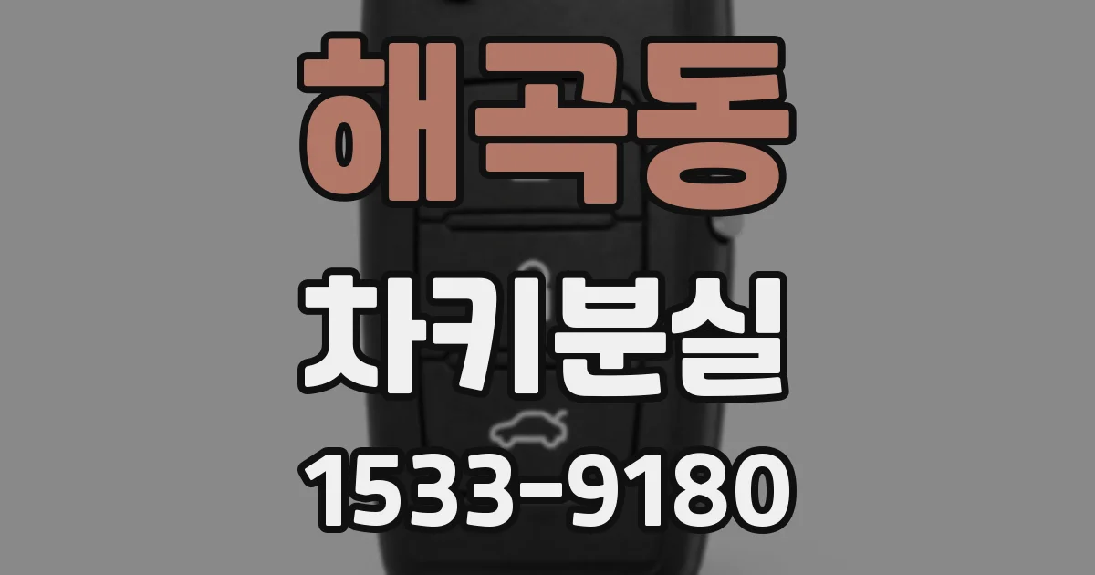 해곡동 차키분실