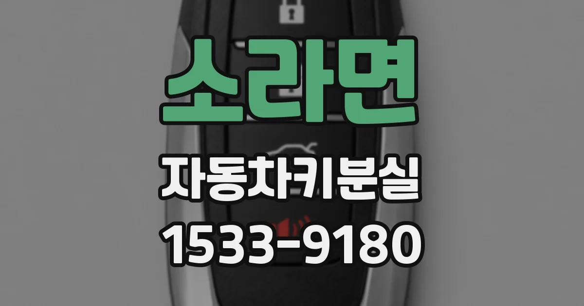 소라면 자동차키분실