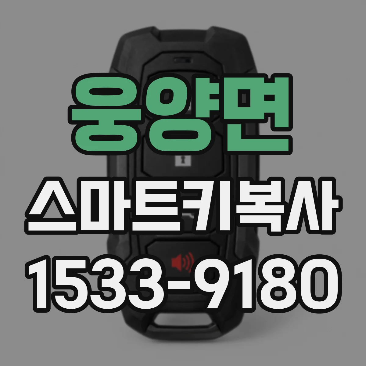 웅양면 스마트키복사