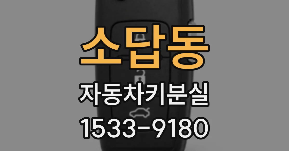 소답동 자동차키분실