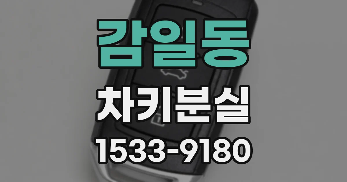 감일동 차키분실