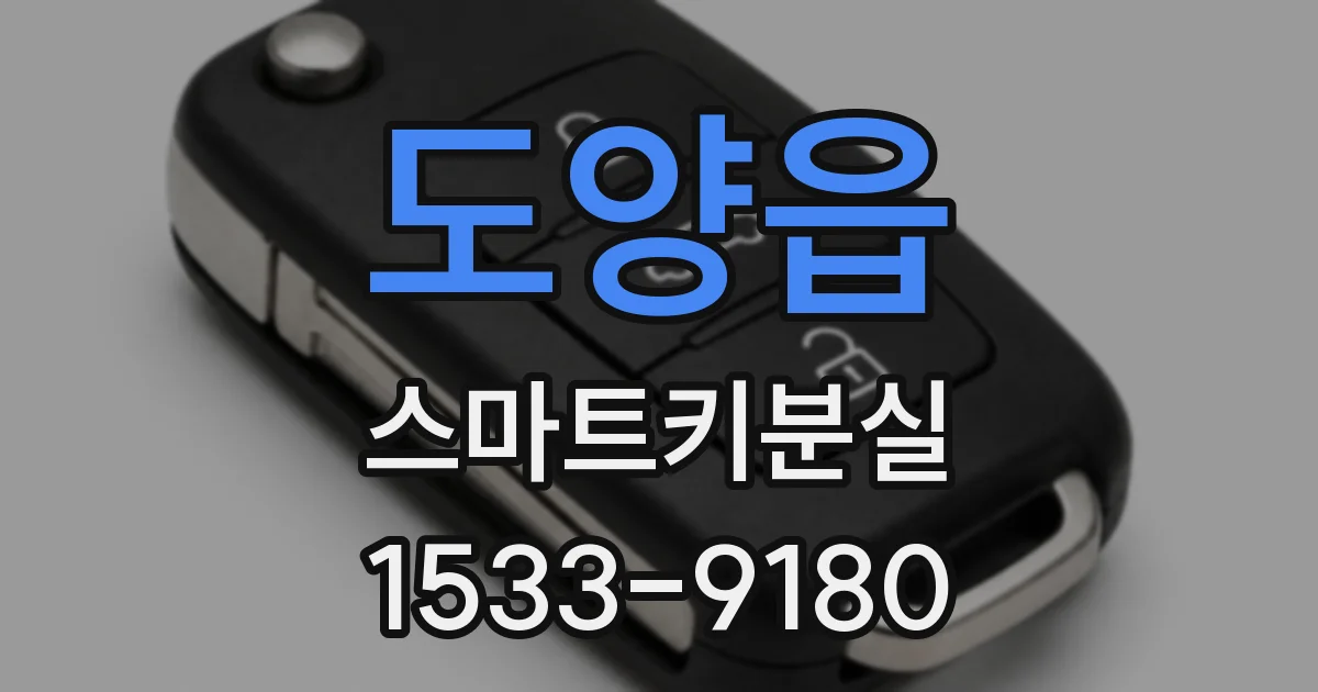 도양읍 스마트키분실