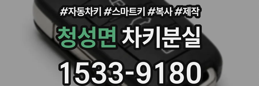 청성면 차키분실