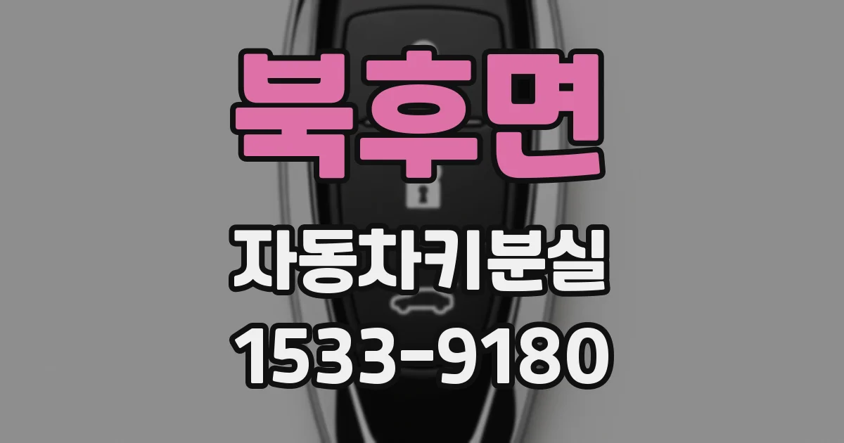 북후면 자동차키분실