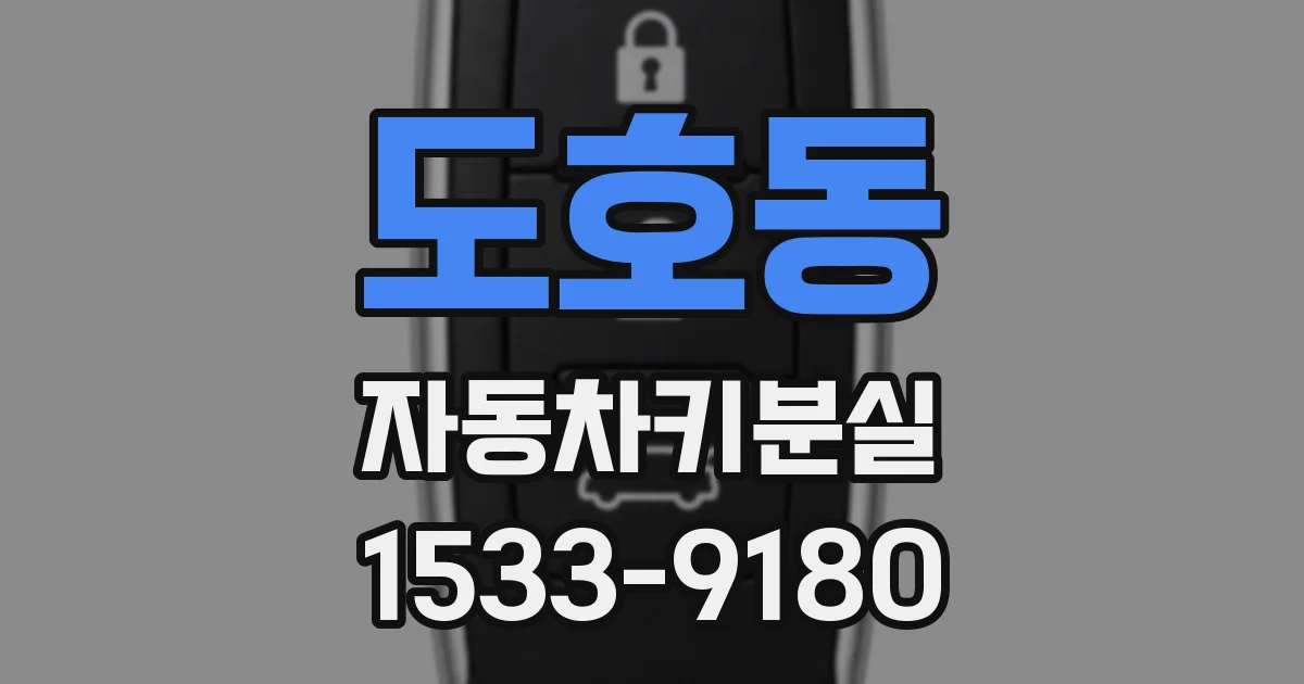 도호동 자동차키분실