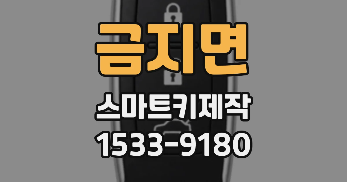 금지면 스마트키제작