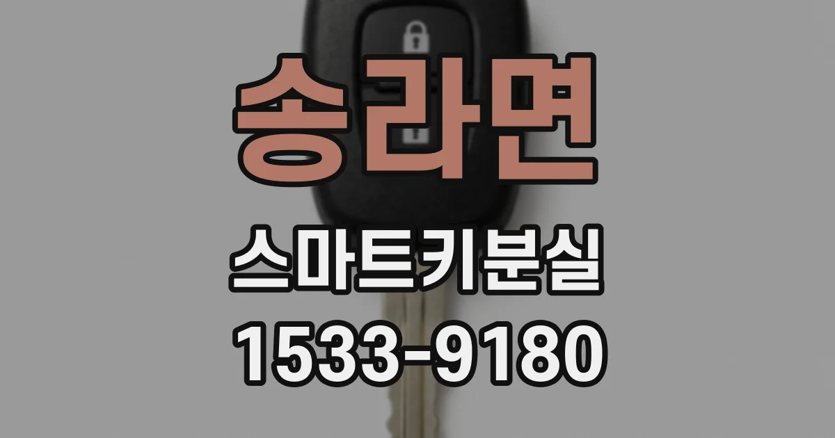 송라면 스마트키분실