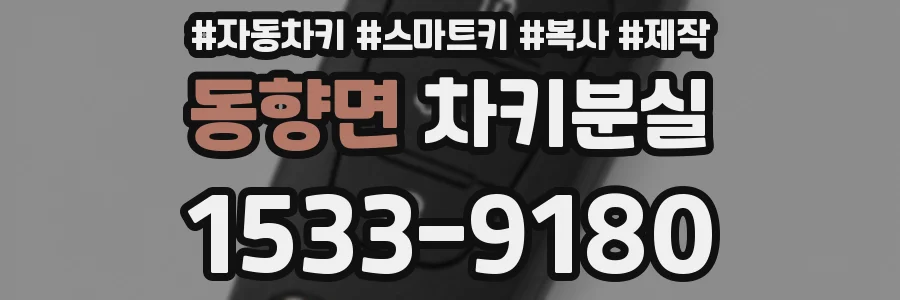 동향면 차키분실