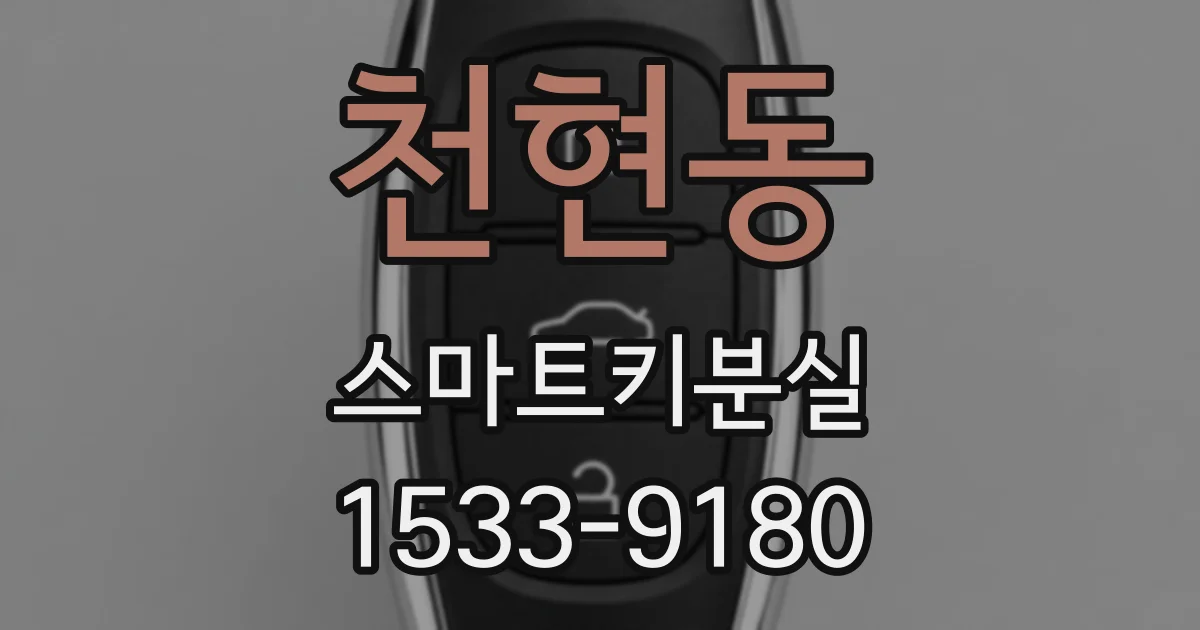 천현동 스마트키분실
