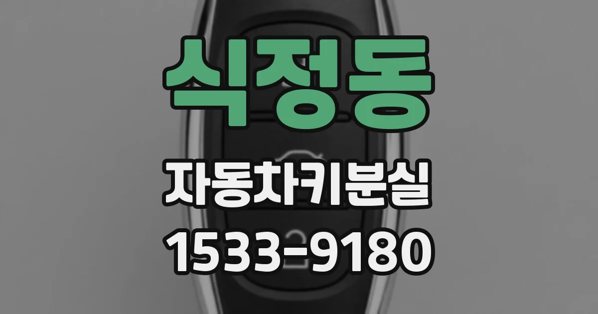 식정동 자동차키분실
