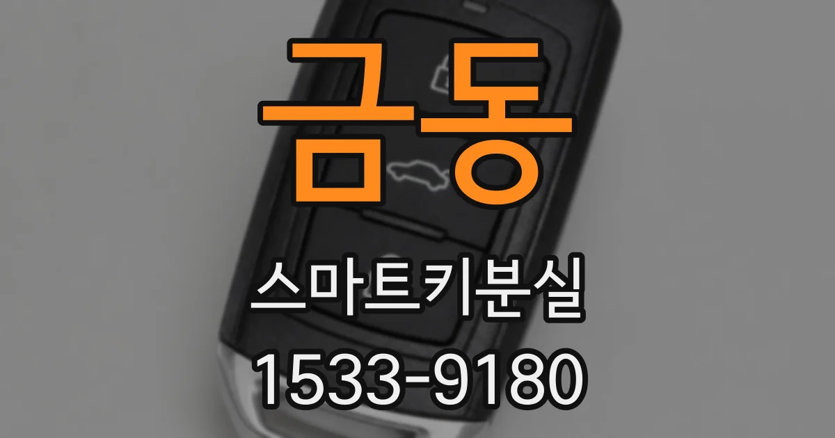 금동 스마트키분실
