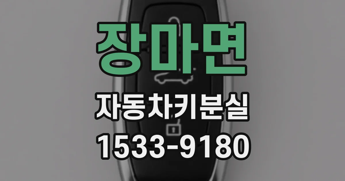 장마면 자동차키분실