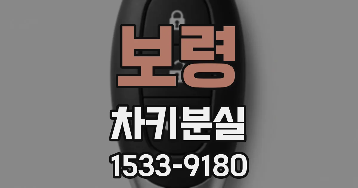 보령 차키분실