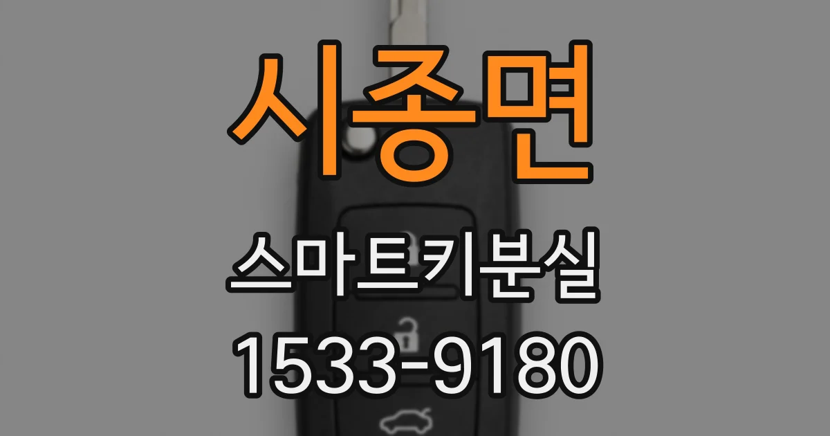 시종면 스마트키분실