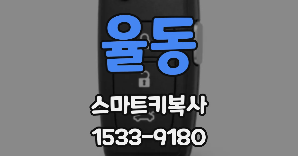 율동 스마트키복사
