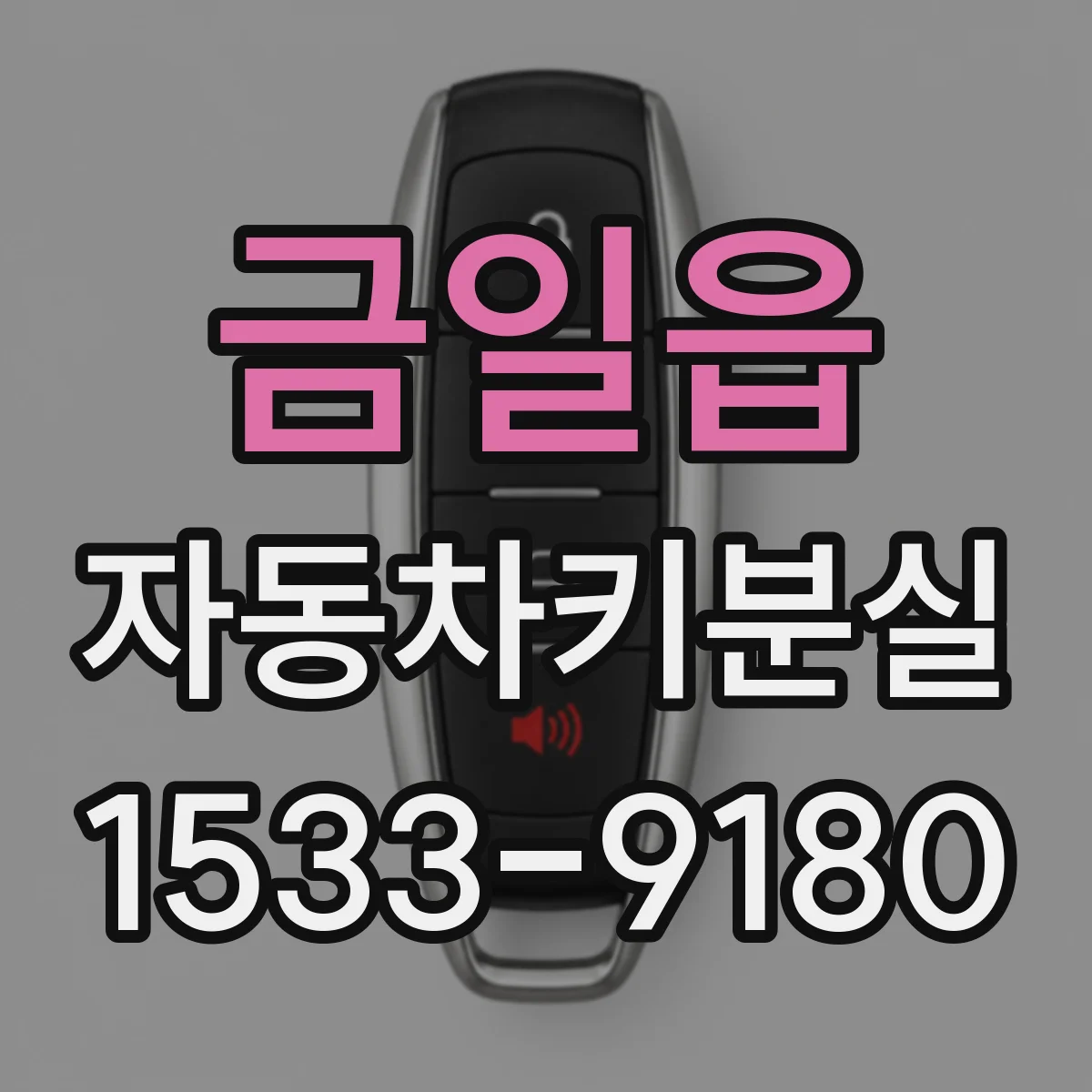 금일읍 자동차키분실