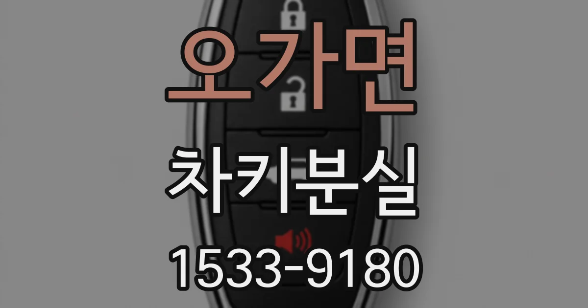 오가면 차키분실