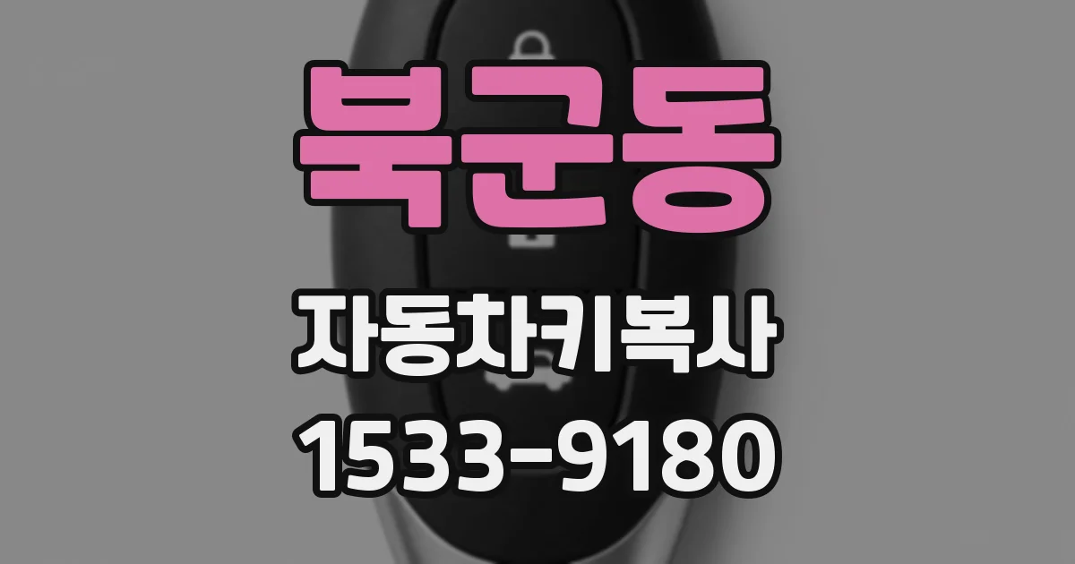 북군동 자동차키복사