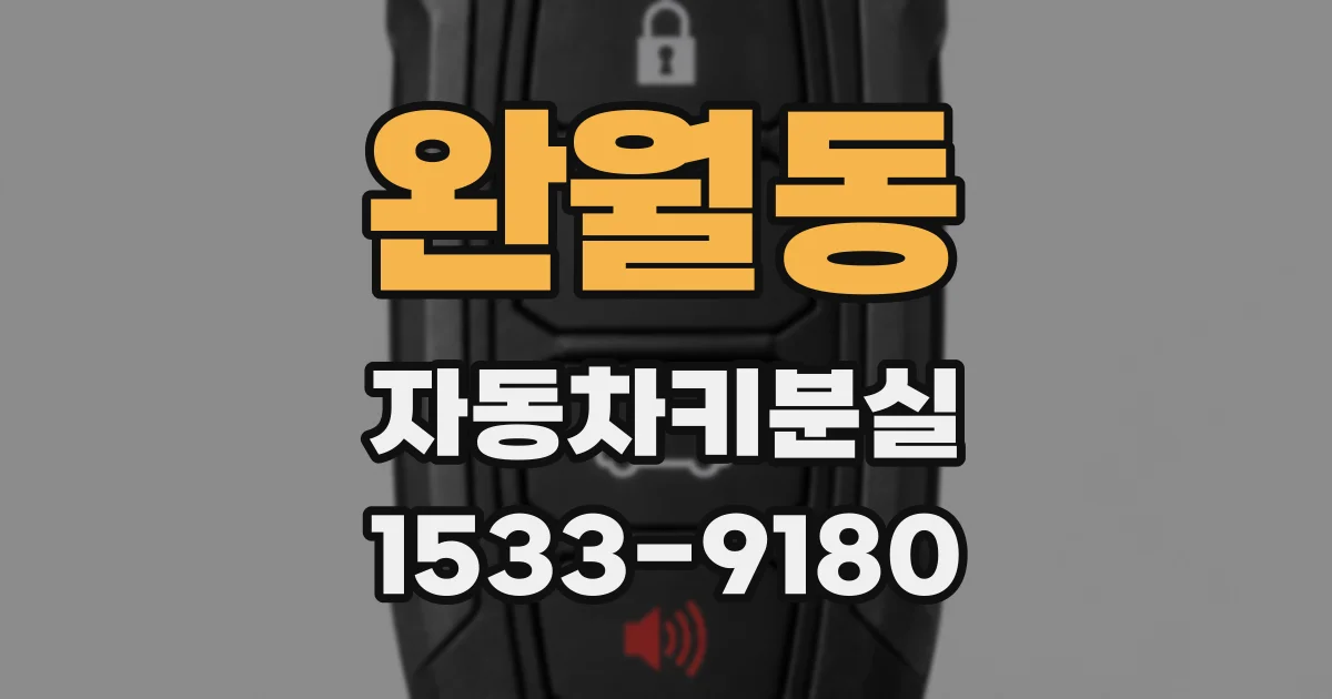 완월동 자동차키분실