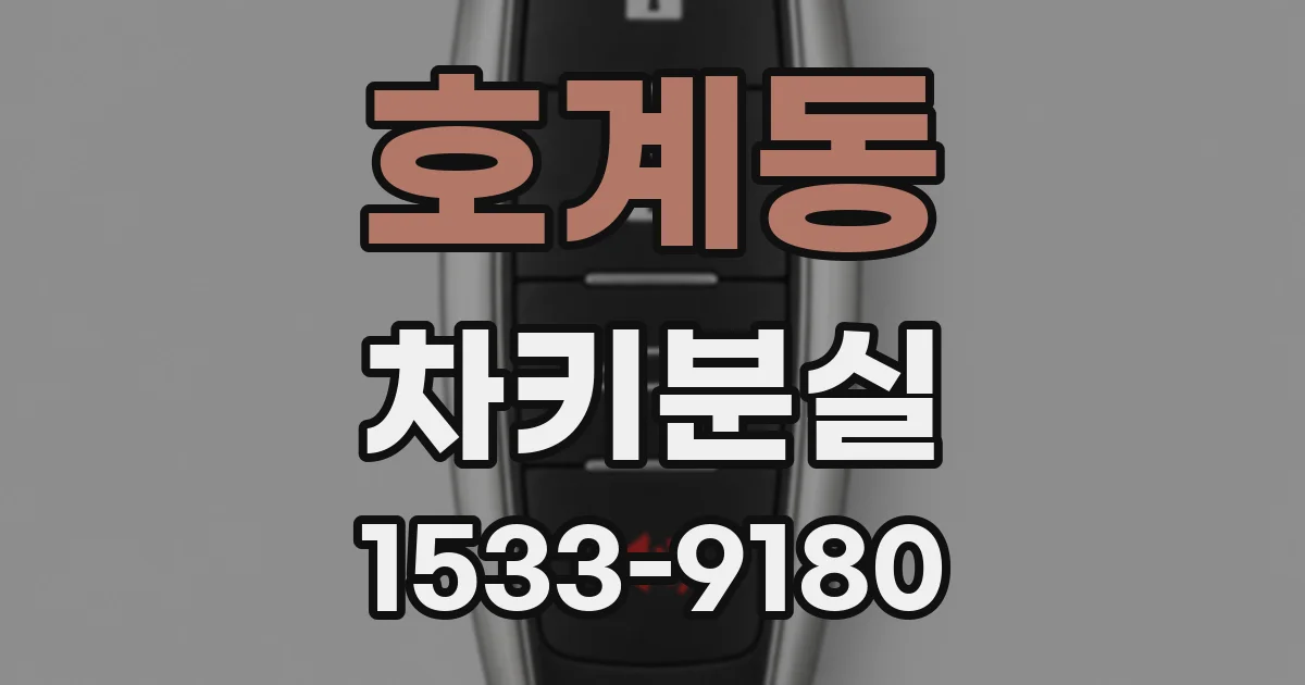 호계동 차키분실