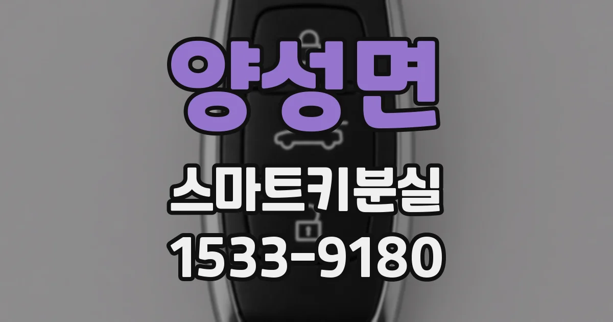 양성면 스마트키분실