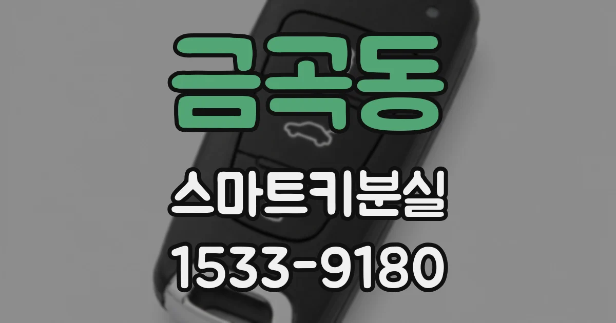 금곡동 스마트키분실
