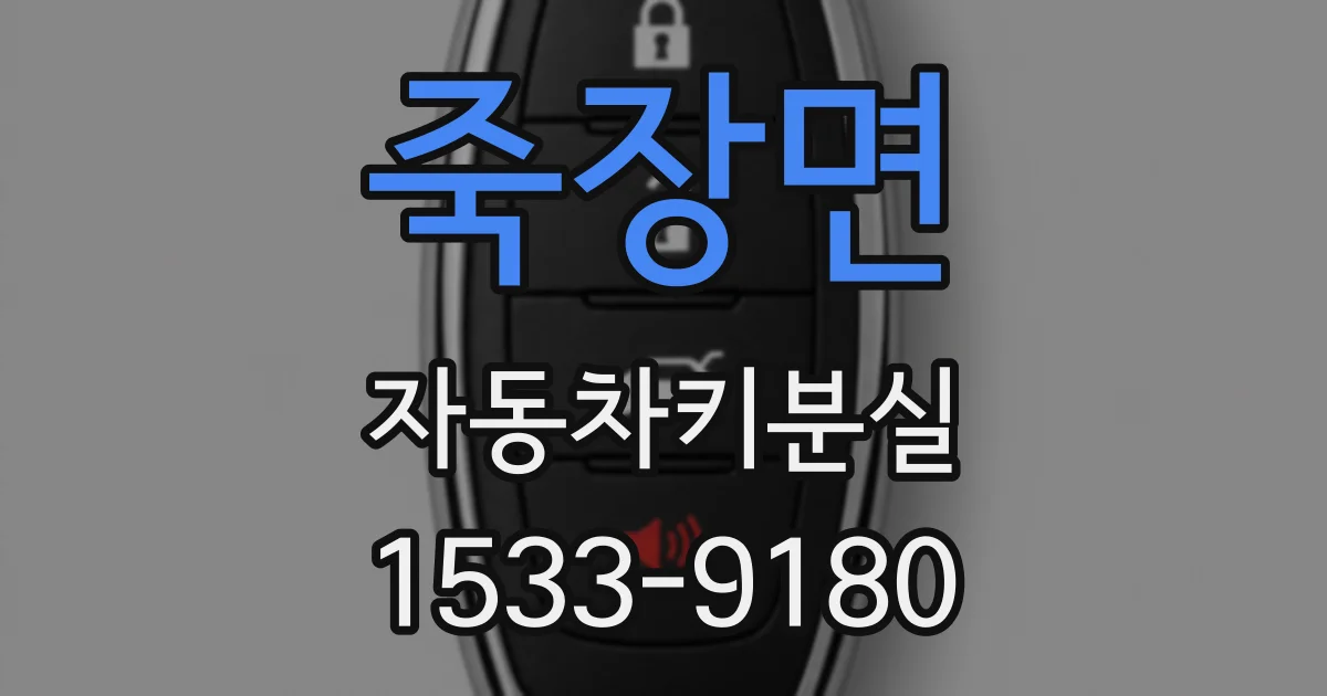 죽장면 자동차키분실