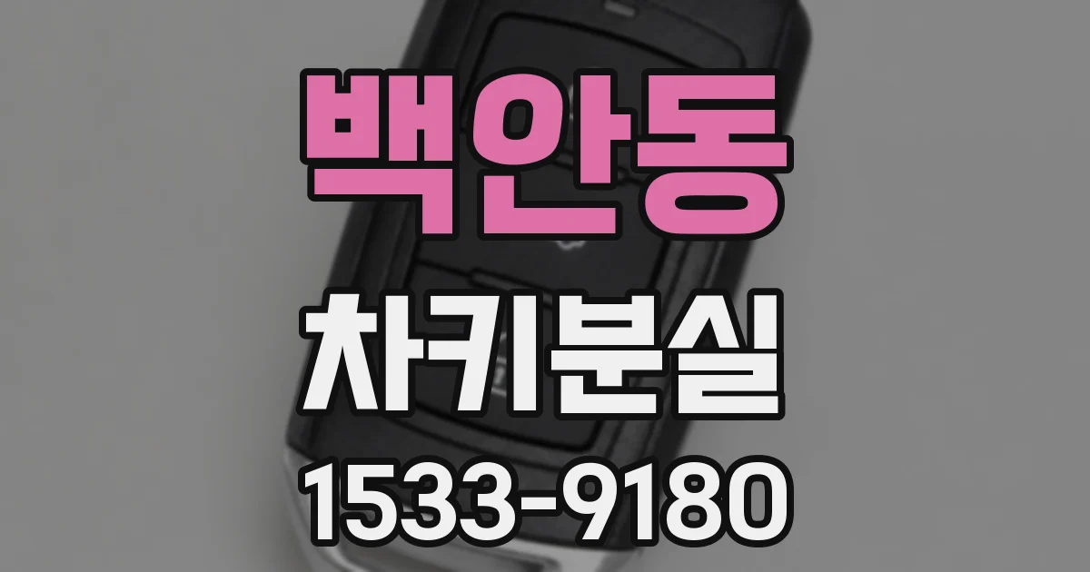 백안동 차키분실