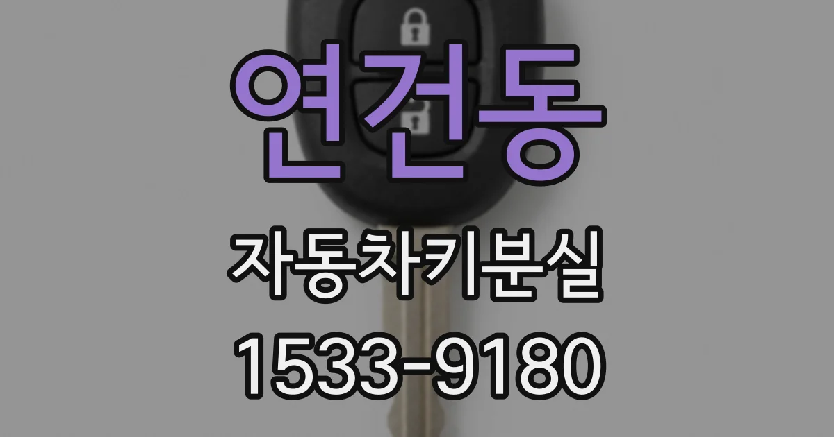 연건동 자동차키분실
