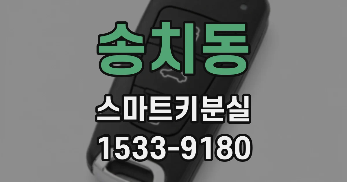 송치동 스마트키분실
