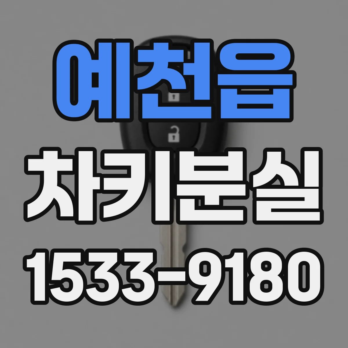 예천읍 차키분실