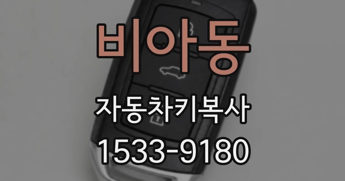 비아동 자동차키복사