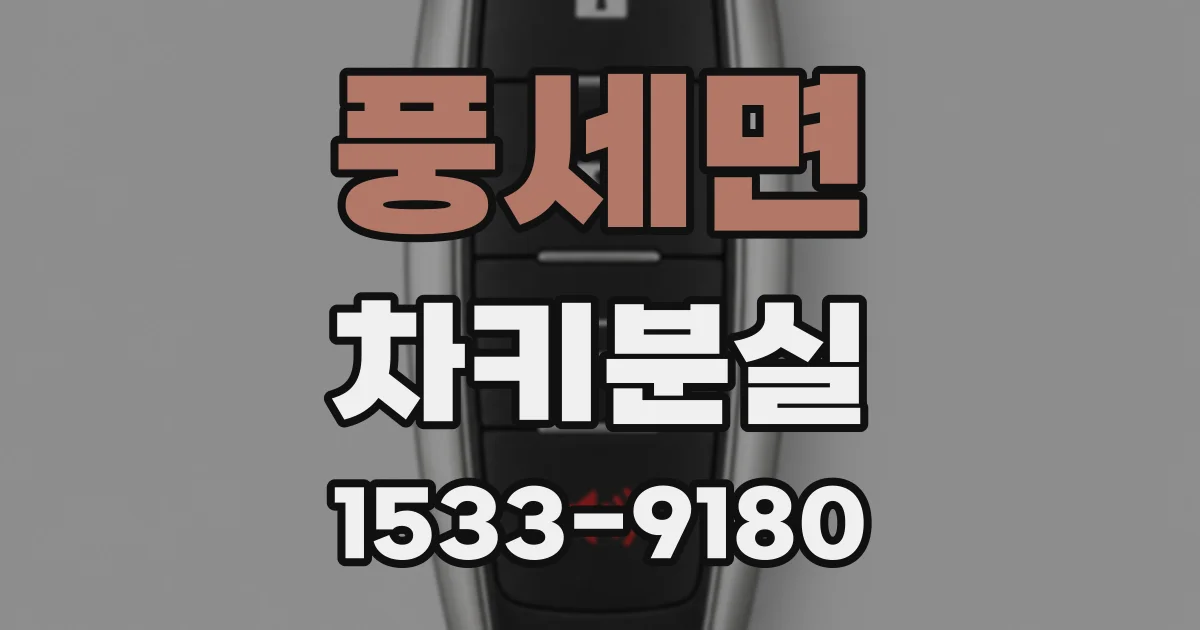 풍세면 차키분실