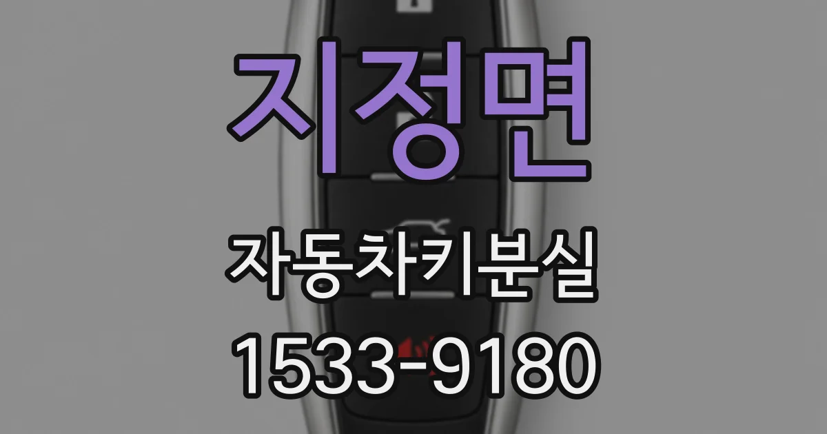 지정면 자동차키분실
