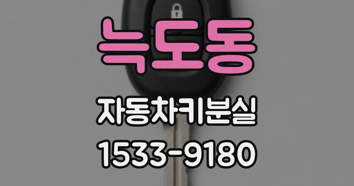 늑도동 자동차키분실