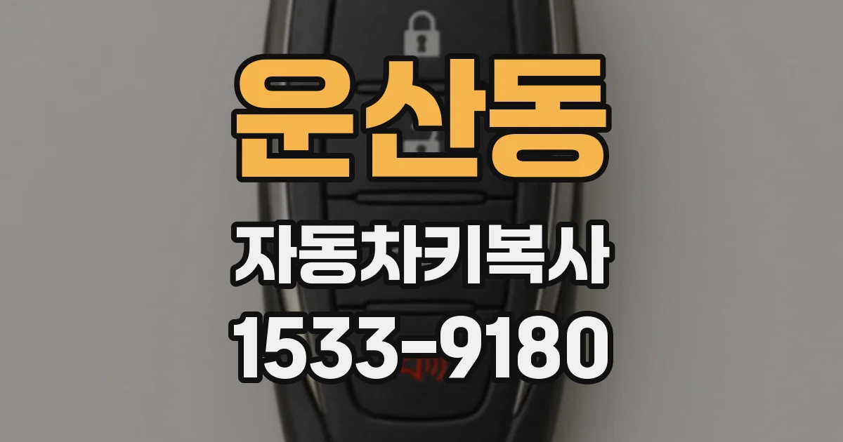 운산동 자동차키복사