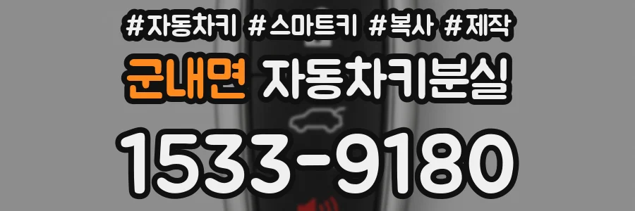 군내면 자동차키분실