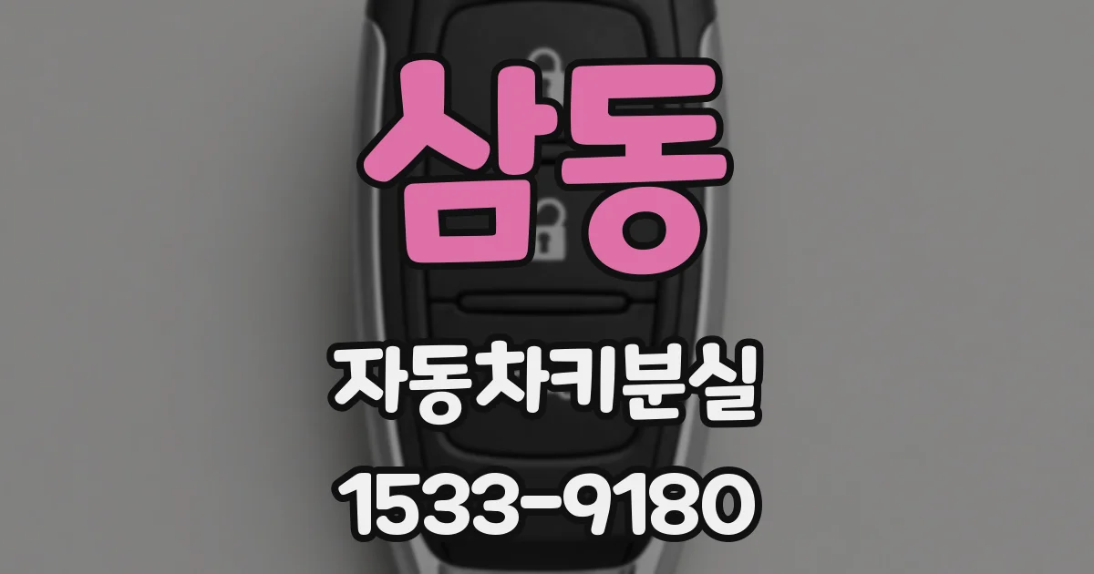 삼동 자동차키분실