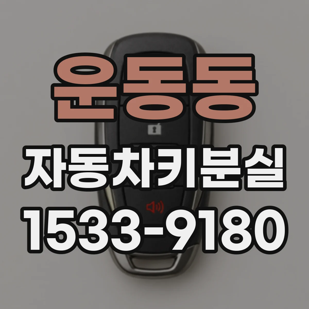 운동동 자동차키분실
