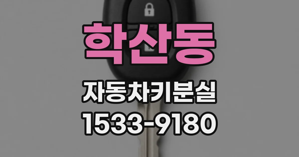 학산동 자동차키분실