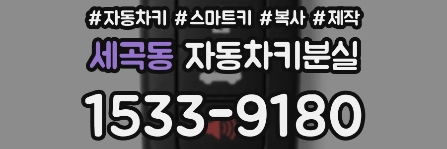 세곡동 자동차키분실