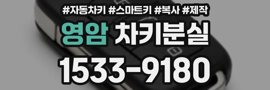 영암 차키분실